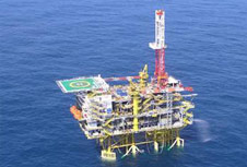 中国海洋石油161MAXIMO项目